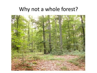 You can track a domestic cat
 