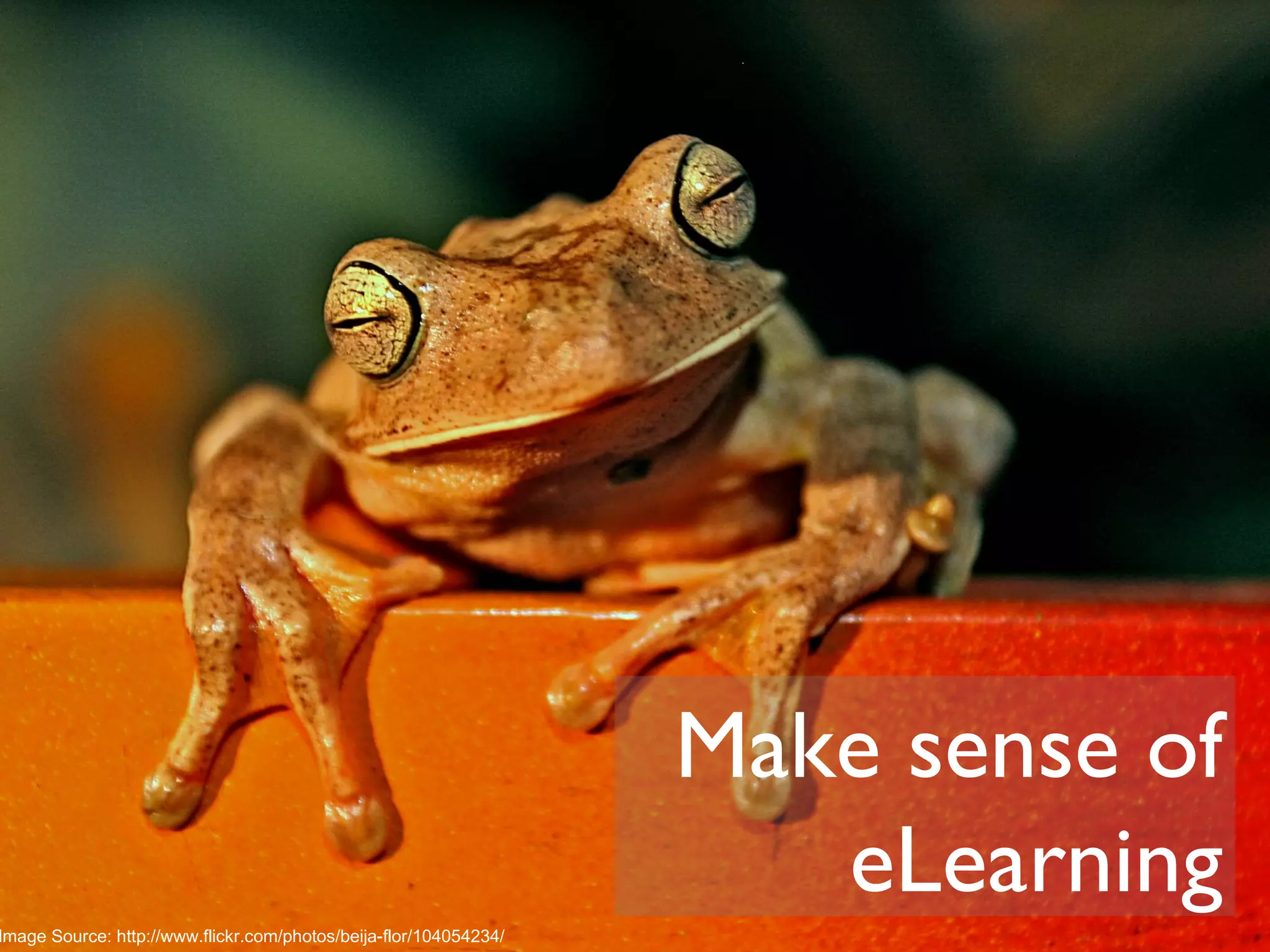 Make sense of eLearning Image Source: http://www.flickr.com/photos/beija-flor/104054234/