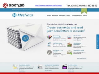 40http://www.wp-newsletter.com/en/home/