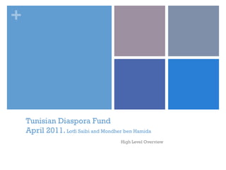 +

Tunisian Diaspora Fund
April 2011. Lotfi Saibi and Mondher ben Hamida
High Level Overview

 
