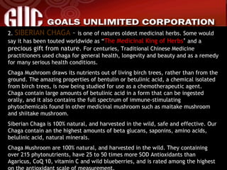 2.  SIBERIAN CHAGA  –  is one of natures oldest medicinal herbs. Some would say it has been touted worldwide as “ The Medicinal King of Herbs ’  and a  precious gift from nature.  For centuries, Traditional Chinese Medicine practitioners used chaga for general health, longevity and beauty and as a remedy for many serious health conditions. Chaga Mushroom draws its nutrients out of living birch trees, rather than from the ground. The amazing properties of bentulin or betulinic acid, a chemical isolated from birch trees, is now being studied for use as a chemotherapeutic agent. Chaga contain large amounts of betulinic acid in a form that can be ingested orally, and it also contains the full spectrum of immune-stimulating phytochemicals found in other medicinal mushroom such as maitake mushroom and shiitake mushroom. Siberian Chaga is 100% natural, and harvested in the wild, safe and effective. Our Chaga contain an the highest amounts of beta glucans, saponins, amino acids, belulinic acid, natural minerals. Chaga Mushroom are 100% natural, and harvested in the wild. They containing over 215 phytonutrients, have 25 to 50 times more SOD Antioxidants than Agaricus, CoQ 10, vitamin C and wild blueberries, and is rated among the highest on the antioxidant scale of measurement. 