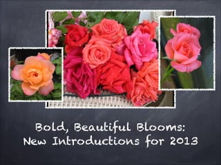 Bold, Beautiful Blooms:
New Introductions for 2013
 