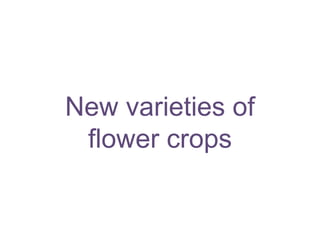 New varieties of
flower crops
 