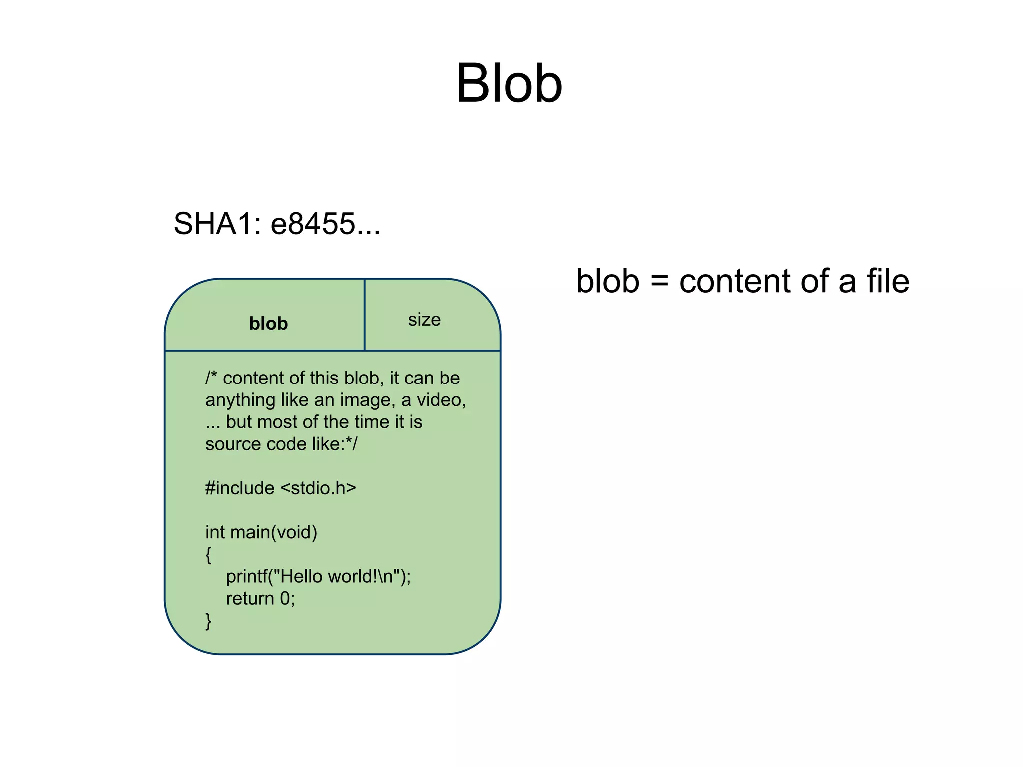 Blob
SHA1: e8455...

blob = content of a file
blob

size

/* content of this blob, it can be
anything like an image, a video,
... but most of the time it is
source code like:*/
#include <stdio.h>
int main(void)
{
printf("Hello world!n");
return 0;
}

 