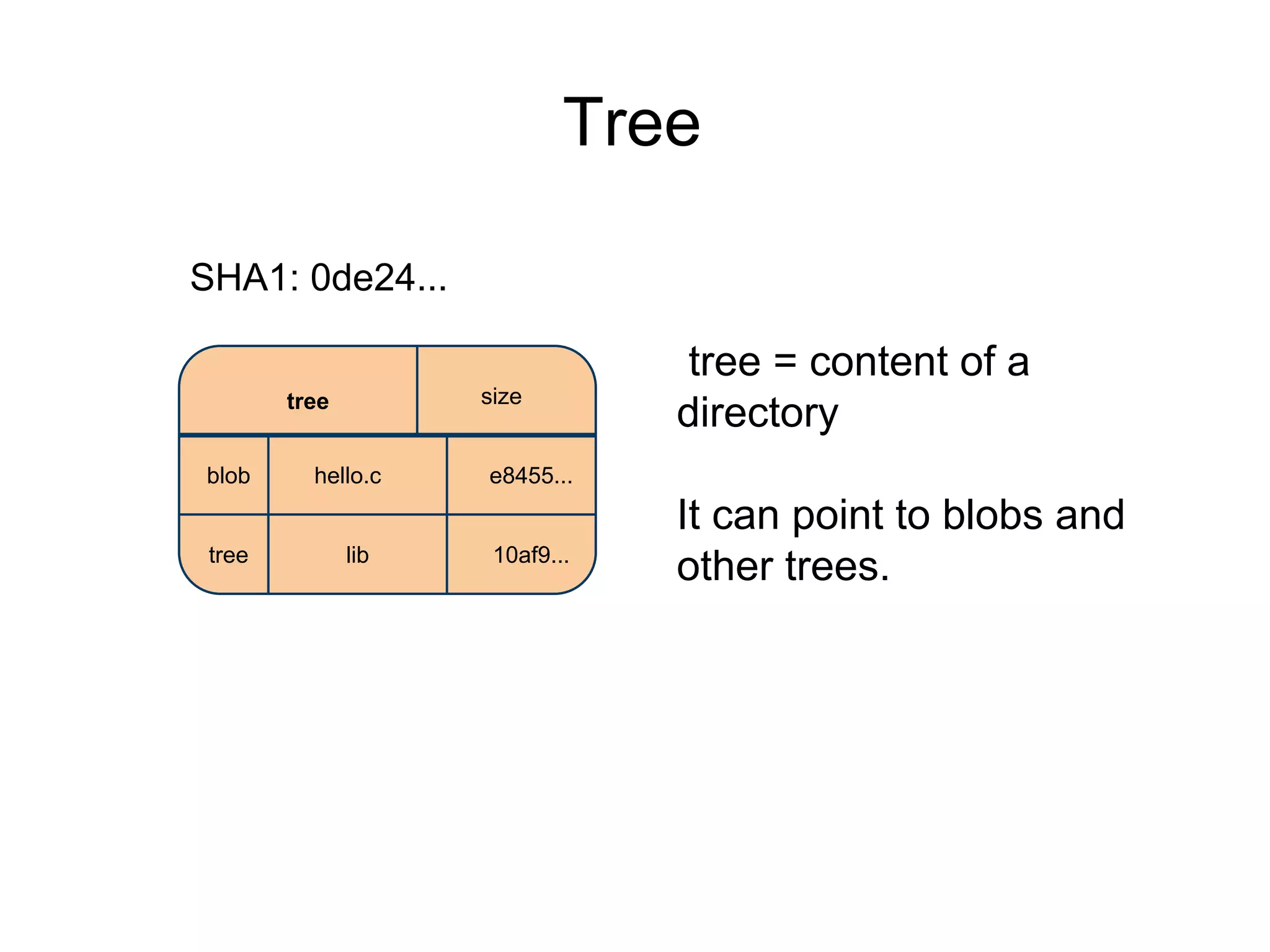 Tree
SHA1: 0de24...
size

tree
blob
tree

hello.c
lib

tree = content of a
directory

e8455...
10af9...

It can point to blobs and
other trees.

 