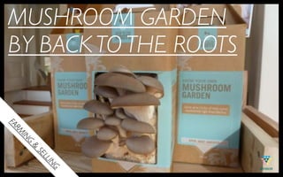 MUSHROOM GARDEN
BY BACK TO THE ROOTS
FA
  MR
   IN
       G
       &
           SE
             LL
                IN
                  G
 
