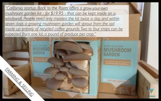 “California startup Back to the Roots offers a grow-your-own
mushroom garden kit - for $19.95 - that can be kept inside on a
windowsill. People need only moisten the kit twice a day, and within
seven days a growing mushroom garden will sprout from the soil
made up entirely of recycled coffee grounds. Two to four crops can be
expected from one kit, a pound of produce per crop.”
FA
  MR
   IN
       G
       &
           SE
             LL
                IN
                  G
 