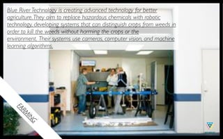 Blue River Technology is creating advanced technology for better
agriculture. They aim to replace hazardous chemicals with robotic
technology, developing systems that can distinguish crops from weeds in
order to kill the weeds without harming the crops or the
environment.!Their systems use cameras, computer vision, and machine
learning algorithms.
   FA
      R
      M
       IN
          G
 
