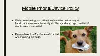 Mobile Phone/Device Policy
■ While volunteering your attention should be on the task at
hand. In some cases the safety of others and our dogs could be at
risk if you are distracted.
■ Please do not make phone calls or text
while walking the dogs.
 