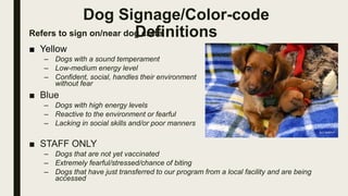 Dog Signage/Color-code
DefinitionsRefers to sign on/near dog crate.
■ Yellow
– Dogs with a sound temperament
– Low-medium energy level
– Confident, social, handles their environment
without fear
■ Blue
– Dogs with high energy levels
– Reactive to the environment or fearful
– Lacking in social skills and/or poor manners
■ STAFF ONLY
– Dogs that are not yet vaccinated
– Extremely fearful/stressed/chance of biting
– Dogs that have just transferred to our program from a local facility and are being
accessed
 