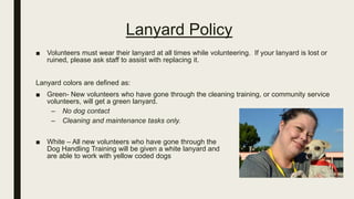 Lanyard Policy
■ Volunteers must wear their lanyard at all times while volunteering. If your lanyard is lost or
ruined, please ask staff to assist with replacing it.
Lanyard colors are defined as:
■ Green- New volunteers who have gone through the cleaning training, or community service
volunteers, will get a green lanyard.
– No dog contact
– Cleaning and maintenance tasks only.
■ White – All new volunteers who have gone through the
Dog Handling Training will be given a white lanyard and
are able to work with yellow coded dogs
 