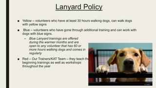 Lanyard Policy
■ Yellow – volunteers who have at least 30 hours walking dogs, can walk dogs
with yellow signs
■ Blue – volunteers who have gone through additional training and can work with
dogs with blue signs.
– Blue Lanyard trainings are offered
during the warmer months and are
open to any volunteer that has 60 or
more hours walking dogs and comes in
regularly
■ Red – Our Trainers/KAT Team – they teach the
beginning trainings as well as workshops
throughout the year
 