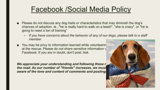 Facebook /Social Media Policy
■ Please do not discuss any dog traits or characteristics that may diminish the dog's
chances of adoption. ie..."he is really hard to walk on a leash", "she is crazy", or "he is
going to need a ton of training”
– If you have concerns about the behavior of any of our dogs, please talk to a staff
member.
■ You may be privy to information learned while volunteering
at the rescue. Please do not share sensitive information via
Facebook. If you are in doubt, don't post. Ask.
We appreciate your understanding and following these rules of
the road. As our number of "friends" increases, we must be
aware of the tone and content of comments and postings.
 