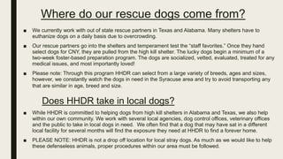 Where do our rescue dogs come from?
■ We currently work with out of state rescue partners in Texas and Alabama. Many shelters have to
euthanize dogs on a daily basis due to overcrowding.
■ Our rescue partners go into the shelters and temperament test the “staff favorites.” Once they hand
select dogs for CNY, they are pulled from the high kill shelter. The lucky dogs begin a minimum of a
two-week foster-based preparation program. The dogs are socialized, vetted, evaluated, treated for any
medical issues, and most importantly loved!
■ Please note: Through this program HHDR can select from a large variety of breeds, ages and sizes,
however, we constantly watch the dogs in need in the Syracuse area and try to avoid transporting any
that are similar in age, breed and size.
Does HHDR take in local dogs?
■ While HHDR is committed to helping dogs from high kill shelters in Alabama and Texas, we also help
within our own community. We work with several local agencies, dog control offices, veterinary offices
and the public to take in local dogs in need. We often find that a dog that may have sat in a different
local facility for several months will find the exposure they need at HHDR to find a forever home.
■ PLEASE NOTE: HHDR is not a drop off location for local stray dogs. As much as we would like to help
these defenseless animals, proper procedures within our area must be followed.
 