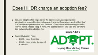 Does HHDR charge an adoption fee?
■ Yes, our adoption fee helps cover the spay/ neuter, age appropriate
vaccinations, microchip (in most cases), transport fees (when applicable), flea/
tick/ heartworm preventative and the care of the animal while waiting to find a
forever home. Please keep in mind, the cost to rescue, fully vet, and care for a
dog out weighs the adoption fee.
■ Current Adoption Fees:
– $300 – dogs 6months +
– $350 – dogs under the age of
6 months
 