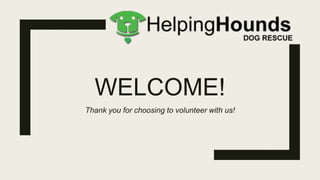 WELCOME!
Thank you for choosing to volunteer with us!
 