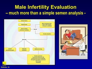 Male Infertility Evaluation – much more than a simple semen analysis - Esteves, 16