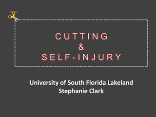 University of South Florida Lakeland
Stephanie Clark
 