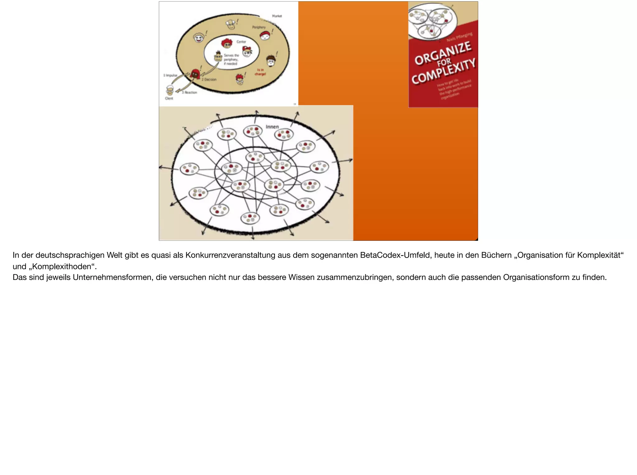 In der deutschsprachigen Welt gibt es quasi als Konkurrenzveranstaltung aus dem sogenannten BetaCodex-Umfeld, heute in den Büchern „Organisation für Komplexität“
und „Komplexithoden“.

Das sind jeweils Unternehmensformen, die versuchen nicht nur das bessere Wissen zusammenzubringen, sondern auch die passenden Organisationsform zu ﬁnden.
 