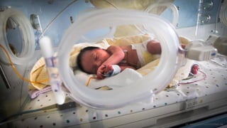 cc www.ruhrnachrichten.de