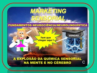 A EXPLOSÃO DA QUÍMICA SENSORIAL
NA MENTE E NO CÉREBRO
FUNDAMENTOS NEUROCIÊNCIA/NEUROLINGUÍSTICA
C
VENDAS
Tem que
chegar aqui !
 