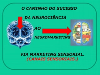 O CAMINHO DO SUCESSO
DA NEUROCIÊNCIA
AO
NEUROMARKETING
VIA MARKETING SENSORIAL.
(CANAIS SENSORIAIS.)
 