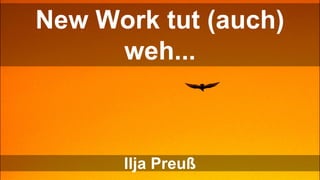 Freiraum tut (auch) weh...
Sandra Reupke-Sieroux & Ilja Preuß
New Work tut (auch)
weh...
Ilja Preuß
 