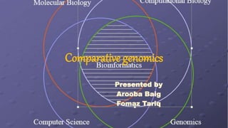 Comparative genomics
Presented by
Arooba Baig
Fomaz Tariq
 