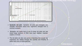  Syntentic dot plot: Syntentic dot plots give biologists very
valuable information about how organisms diverged from a
common ancestor.
 Biologists can easily look at one of these dot plots and see
where large sections of DNA have been deleted, inserted,
copied, or moved.
 The dot plots are also very good at depicting how closely two
organisms are related through the quantity and linearity of
green dots over an entire genome.
 