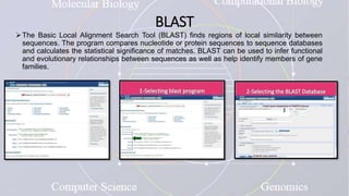 BLAST
The Basic Local Alignment Search Tool (BLAST) finds regions of local similarity between
sequences. The program compares nucleotide or protein sequences to sequence databases
and calculates the statistical significance of matches. BLAST can be used to infer functional
and evolutionary relationships between sequences as well as help identify members of gene
families.
 