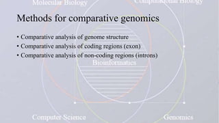 Methods for comparative genomics
• Comparative analysis of genome structure
• Comparative analysis of coding regions (exon)
• Comparative analysis of non-coding regions (introns)
 