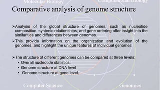 Comparative analysis of genome structure
Analysis of the global structure of genomes, such as nucleotide
composition, syntenic relationships, and gene ordering offer insight into the
similarities and differences between genomes.
This provide information on the organization and evolution of the
genomes, and highlight the unique features of individual genomes
The structure of different genomes can be compared at three levels:
• Overall nucleotide statistics,
• Genome structure at DNA level
• Genome structure at gene level.
 
