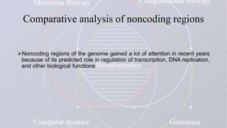 Comparative analysis of noncoding regions
Noncoding regions of the genome gained a lot of attention in recent years
because of its predicted role in regulation of transcription, DNA replication,
and other biological functions
 