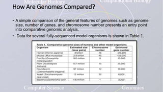 How Are Genomes Compared?
• A simple comparison of the general features of genomes such as genome
size, number of genes, and chromosome number presents an entry point
into comparative genomic analysis.
• Data for several fully-sequenced model organisms is shown in Table 1.
 