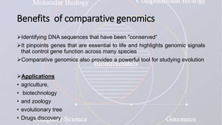 Benefits of comparative genomics
Identifying DNA sequences that have been "conserved“
It pinpoints genes that are essential to life and highlights genomic signals
that control gene function across many species
Comparative genomics also provides a powerful tool for studying evolution
Applications
• agriculture,
• biotechnology
• and zoology
• evolutionary tree
• Drugs discovery
 