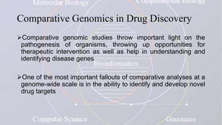Comparative Genomics in Drug Discovery
Comparative genomic studies throw important light on the
pathogenesis of organisms, throwing up opportunities for
therapeutic intervention as well as help in understanding and
identifying disease genes
One of the most important fallouts of comparative analyses at a
genome-wide scale is in the ability to identify and develop novel
drug targets
 