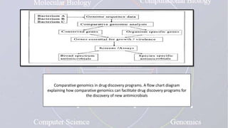 Comparative genomics in drug discovery programs. A flow chart diagram
explaining how comparative genomics can facilitate drug discovery programs for
the discovery of new antimicrobials
 