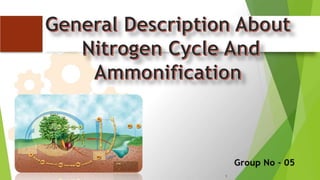 Nitrogen cycle and Ammonification