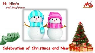 Celebration of Christmas and New Year

 