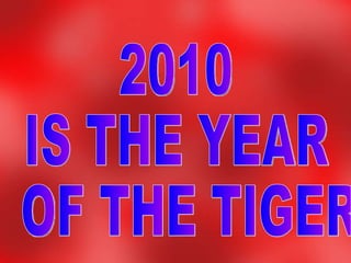 2010  IS THE YEAR OF THE TIGER 