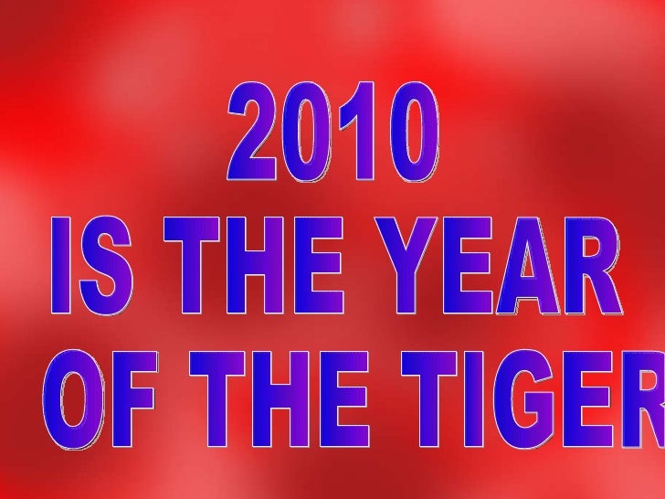 chinese new year starts from