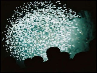 New years eve fireworks-(catherine)