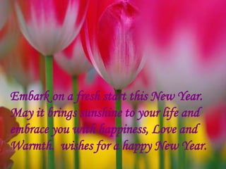 Embark on a fresh start this New Year. May it brings sunshine to your life and embrace you with happiness, Love and Warmth...
