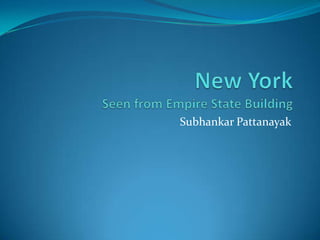 New YorkSeen from Empire State Building Subhankar Pattanayak 