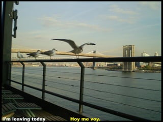 I'm leaving today   Hoy me voy.
 