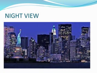 NIGHT VIEW
 