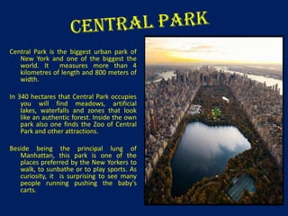 Central Park is the biggest urban park of
New York and one of the biggest the
world. It measures more than 4
kilometres of length and 800 meters of
width.
In 340 hectares that Central Park occupies
you will find meadows, artificial
lakes, waterfalls and zones that look
like an authentic forest. Inside the own
park also one finds the Zoo of Central
Park and other attractions.
Beside being the principal lung of
Manhattan, this park is one of the
places preferred by the New Yorkers to
walk, to sunbathe or to play sports. As
curiosity, it is surprising to see many
people running pushing the baby's
carts.

 