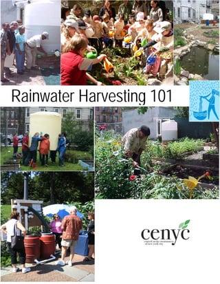 Rainwater Harvesting 101
 