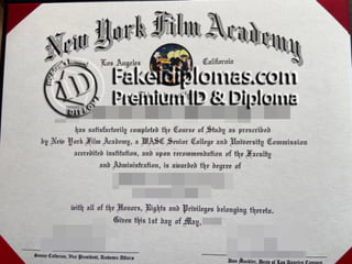 New York Film Academy degree