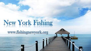 New York Fishing